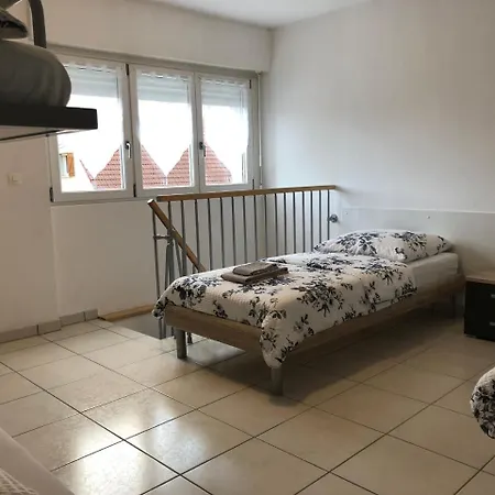 Near Lycee Jean Mermoz Apartament Saint-Louis (Haut-Rhin)